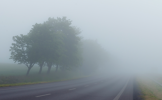Main image for post: Driving in Fog: How to Use Your Lights CORRECTLY!